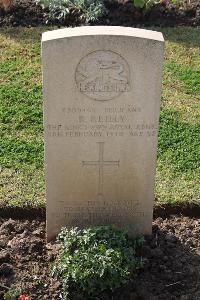 Ismailia War Memorial Cemetery - Reilly, Richard